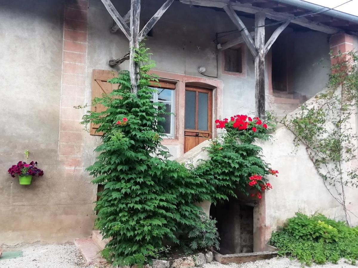 La Maison Moja Prety Bagian luar foto